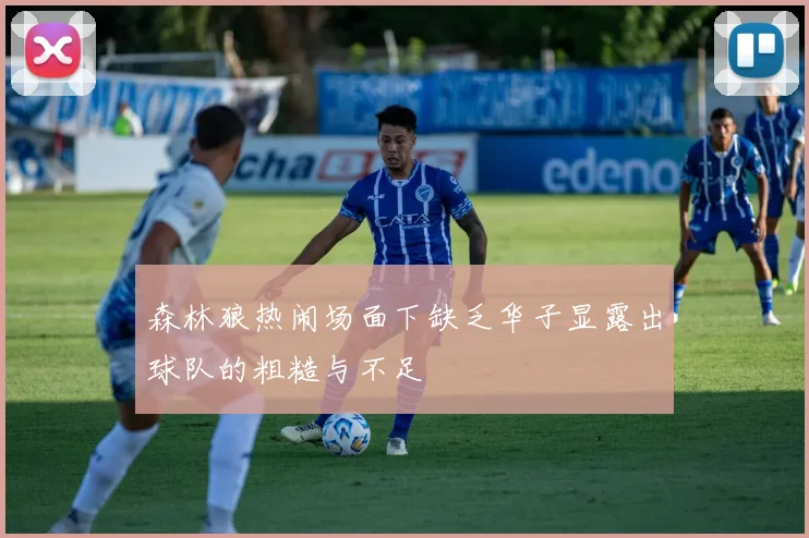 森林狼热闹场面下缺乏华子显露出球队的粗糙与不足