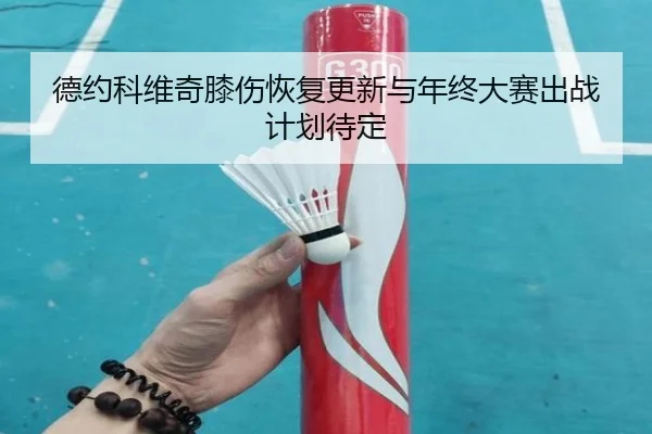 德约科维奇膝伤恢复更新与年终大赛出战计划待定